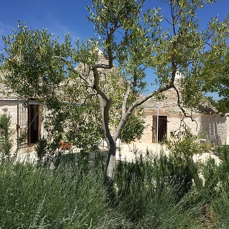 Trulli Monte Del Sale